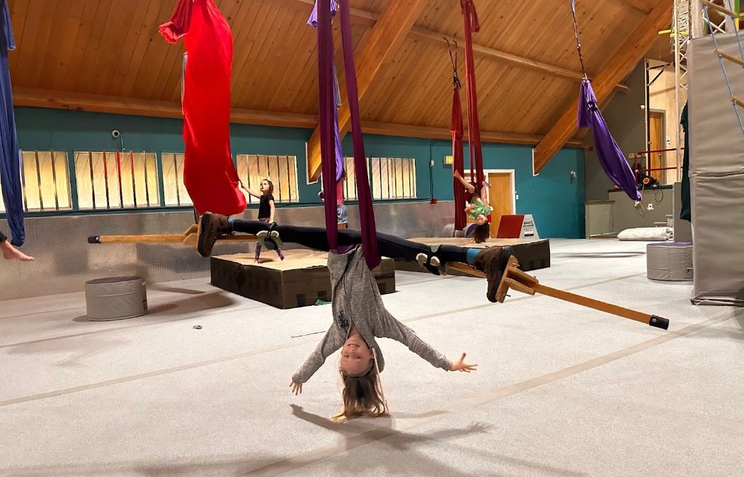 Flying Circus