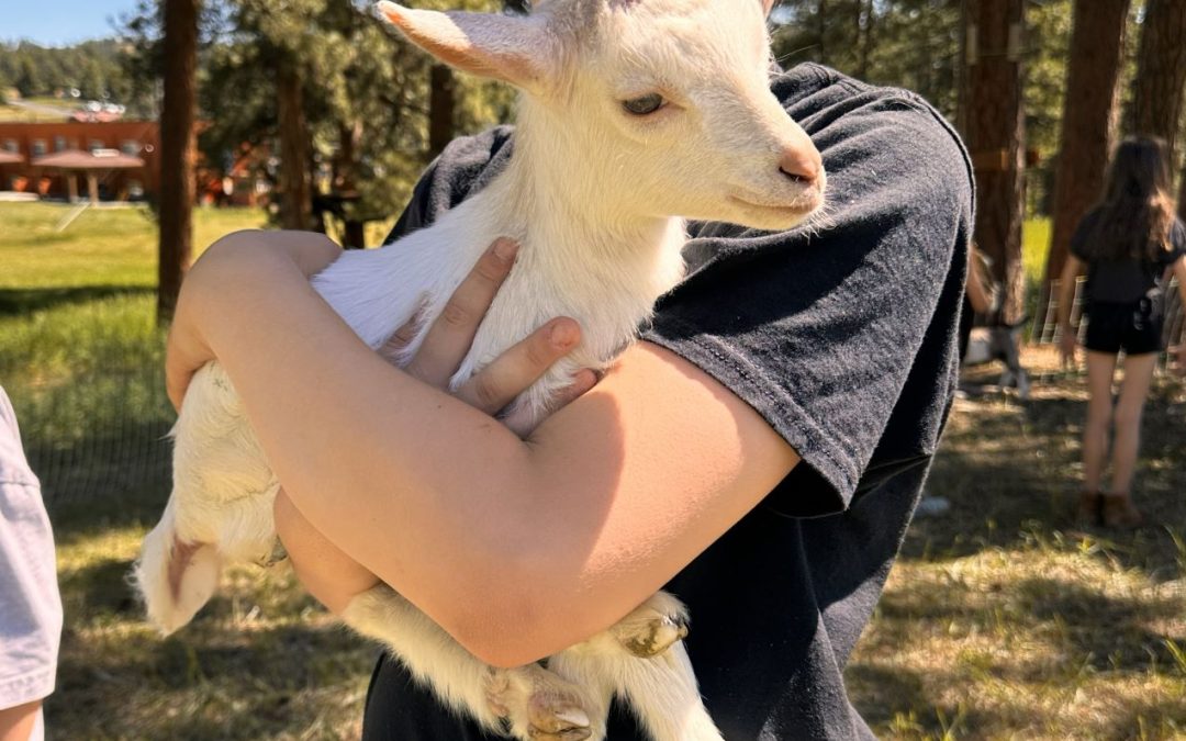 GOATS & ARTS
