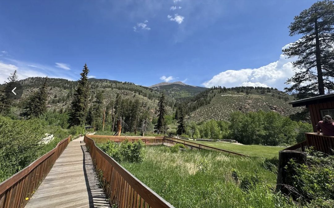 Overnight Nature Adventure 9+